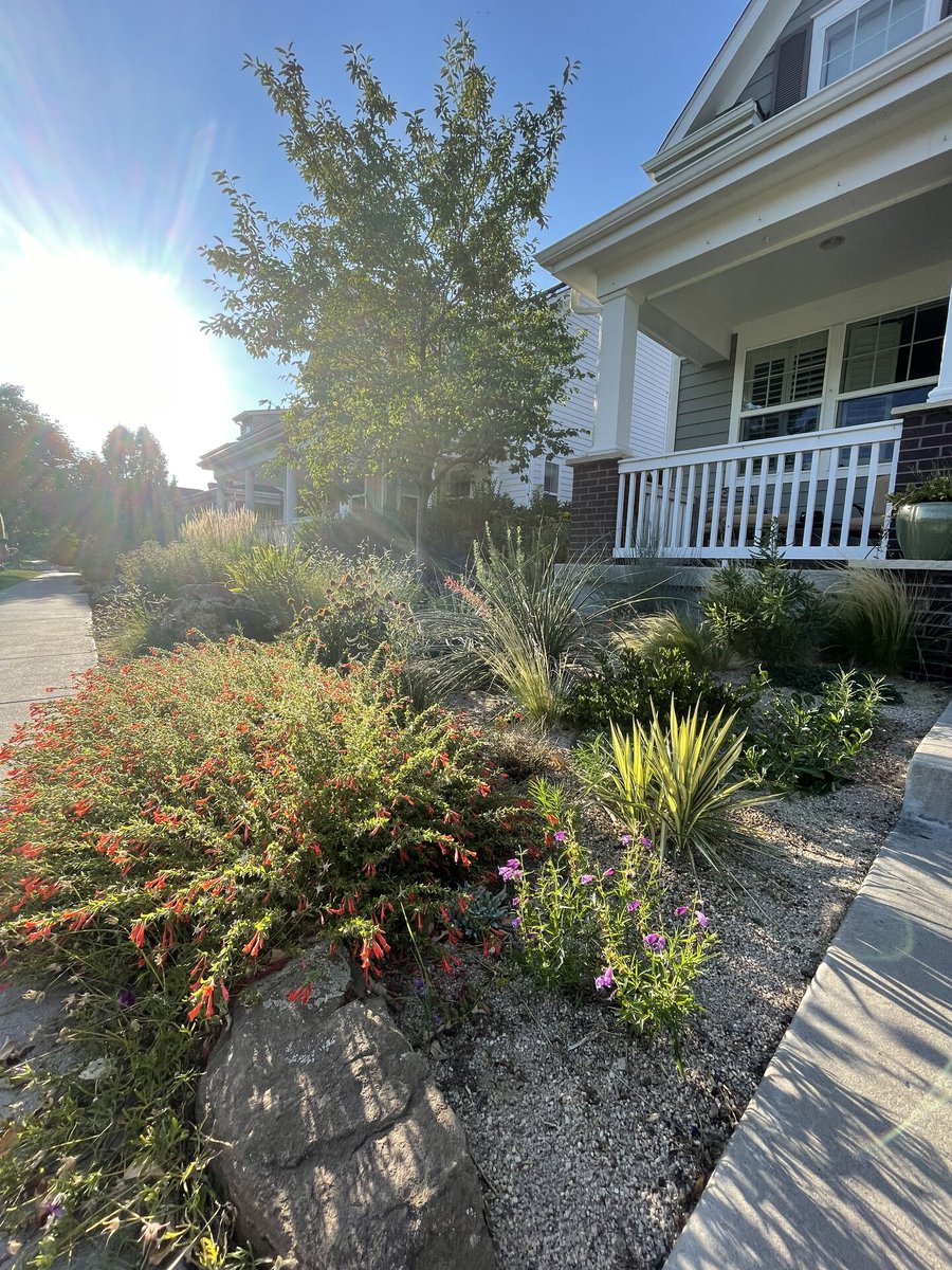 HCGPlants's tweet photo. Meet the Grand prize winners for the Summer 2024 Customer Photo Contest!

4 Different Categories:
Waterwise: Margaret C 
Natural Nectar: Karna M   
Habitat Creation: Mimi  B
Beautiful Waterwise Transformations: Austin S https://t.co/oHIzdy0EQD