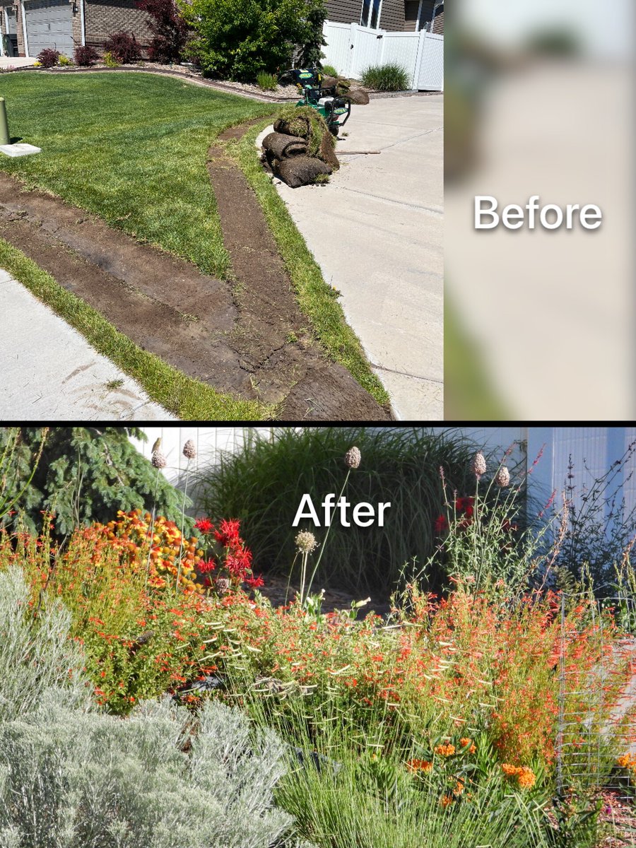 Meet the Grand prize winners for the Summer 2024 Customer Photo Contest!

4 Different Categories:
Waterwise: Margaret C 
Natural Nectar: Karna M   
Habitat Creation: Mimi  B
Beautiful Waterwise Transformations: Austin S