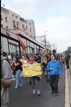 wambraEc's tweet photo. En esta movilización del #15DeNoviembre se escuchan varias demandas por parte de organizaciones de mujeres ante la violencia de género, la calidad de vida, el extractivismo en los territorios. 

#Quito 
#Movilización https://t.co/4Ok0TDvfJW