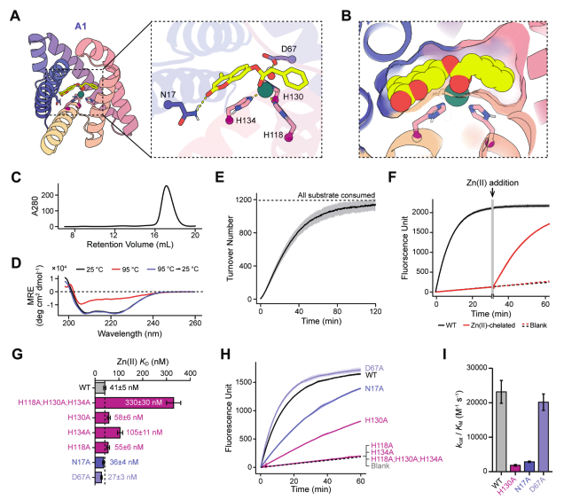 Train a protein structure flow-matching model that can be conditioned by atomic coordinates and then use it to design enzymes based on active site geometry specified by density functional theory.