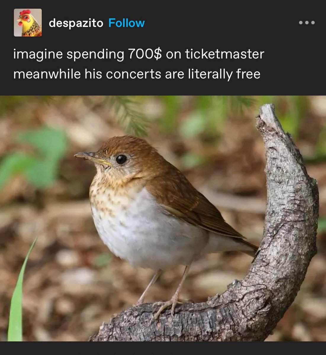 aevris_'s tweet image. 