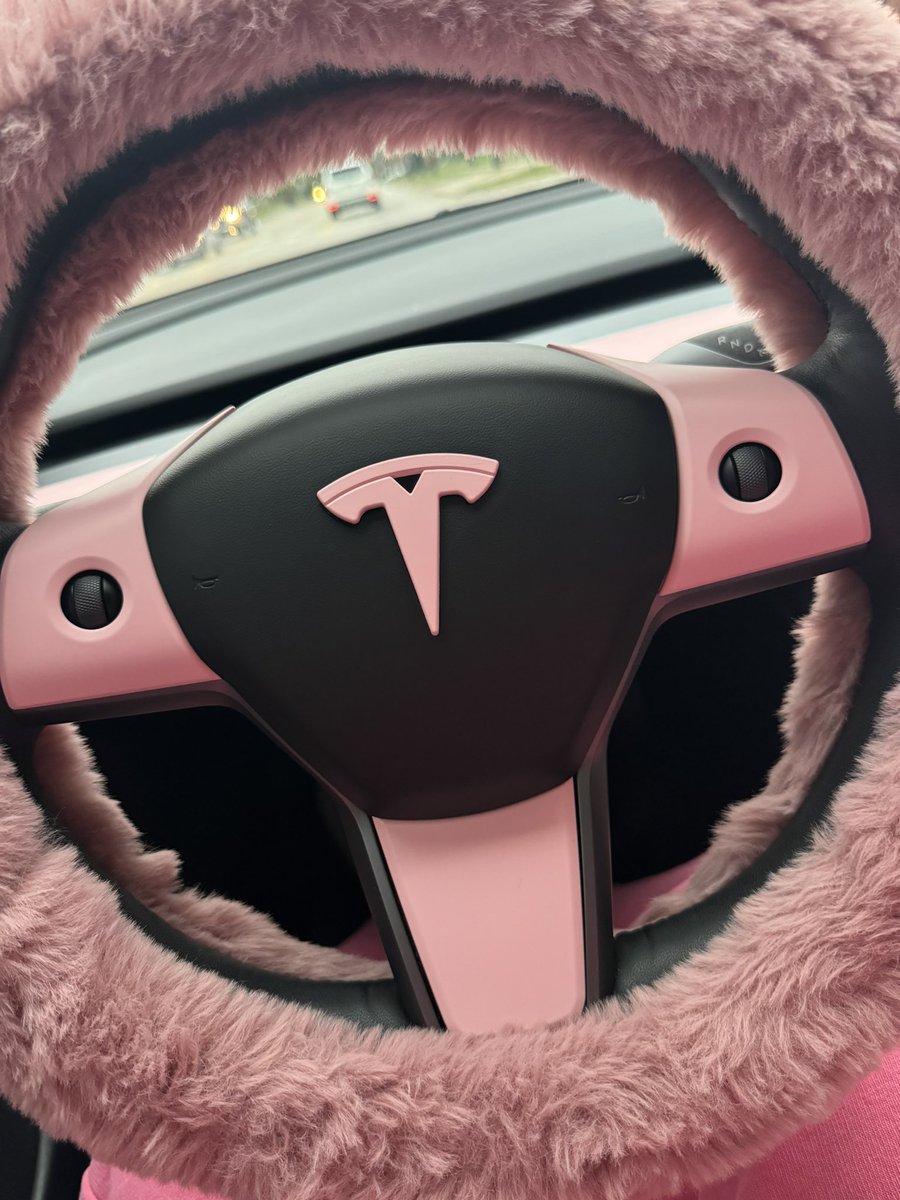 Indytaxbae's tweet photo. Still customizing my Tesla 💕 #pinktesla https://t.co/wqEjAT79e2