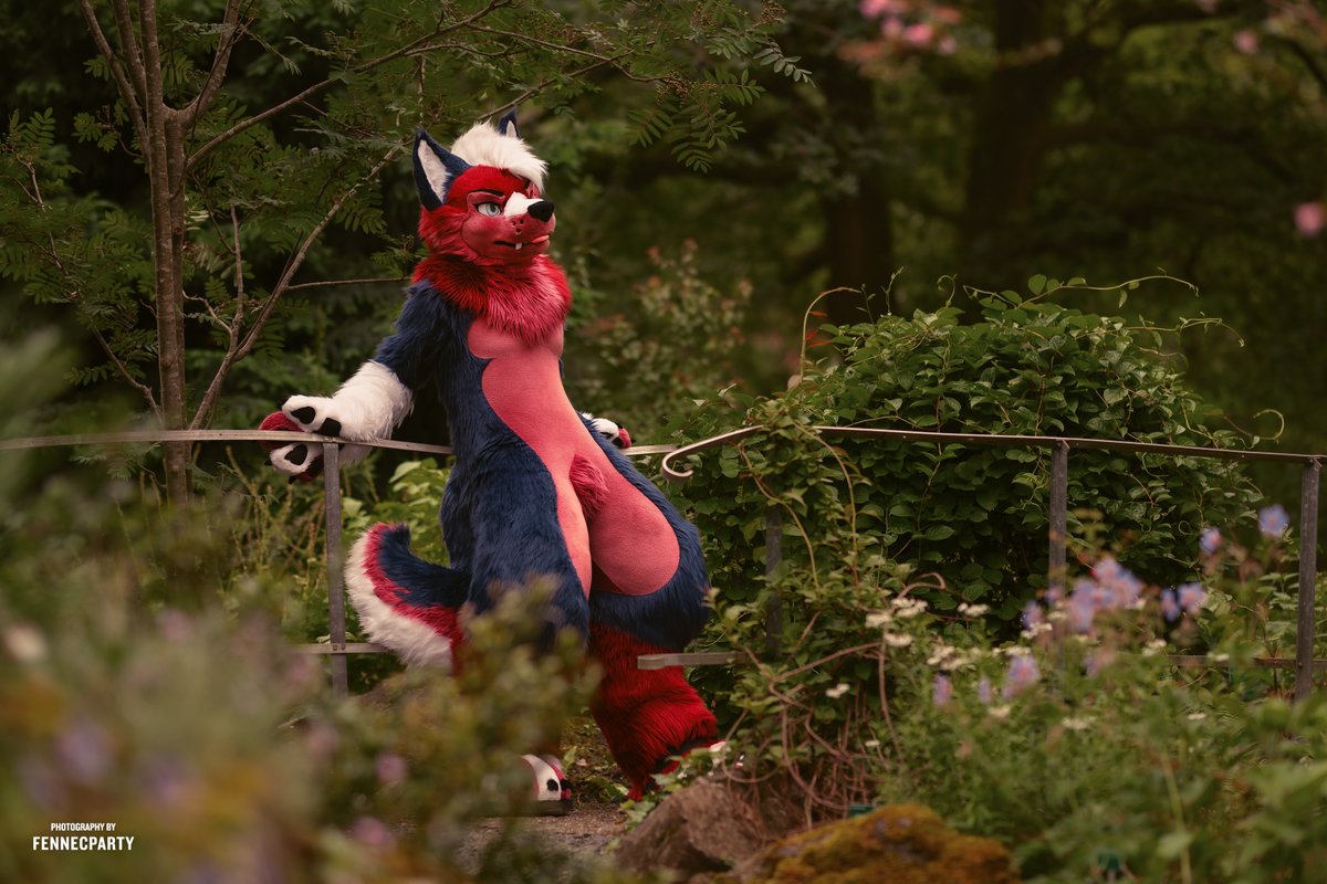 Wacky Zacky tweet media