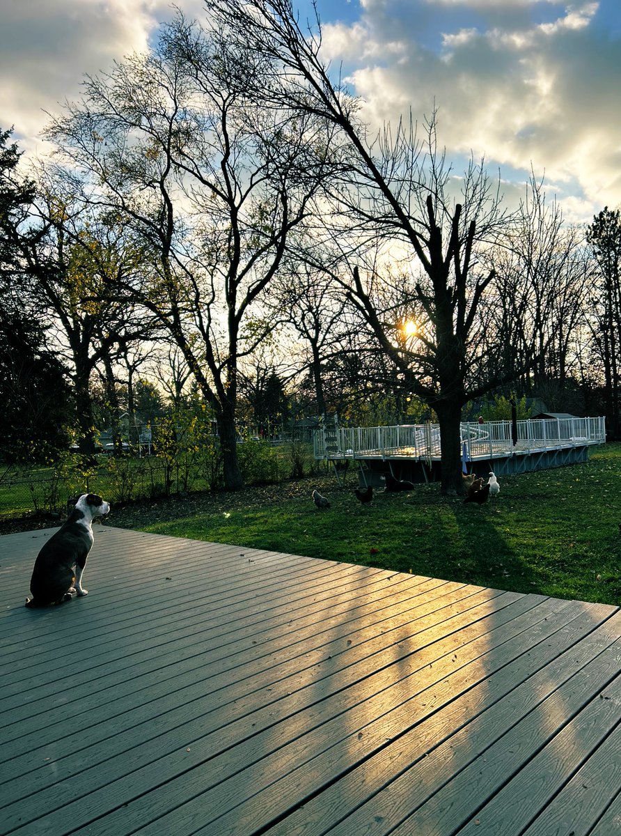 Poor rambler tweet media