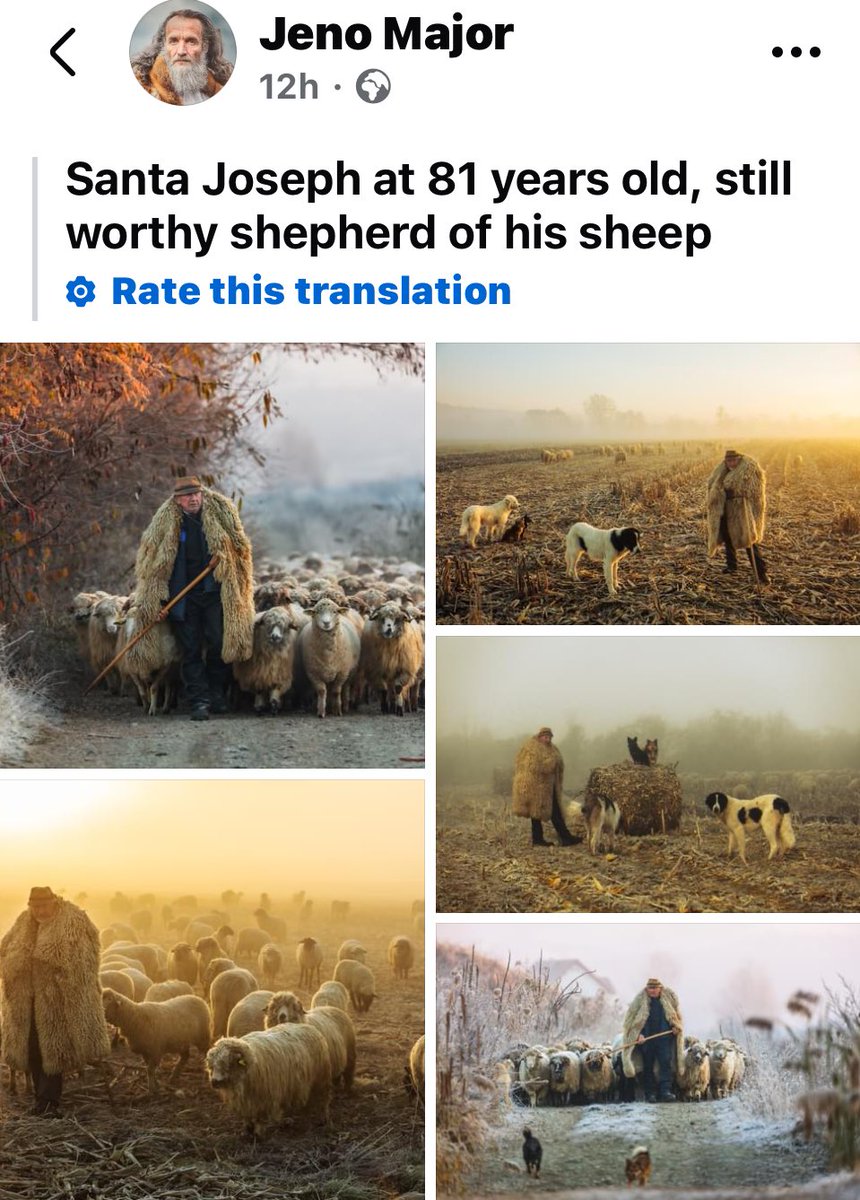 rattycastle's tweet image. More amazing pictures from #JenoMajor  #shepherding at 81 years old in Romania 🇷🇴 I permission to share ❤️❤️