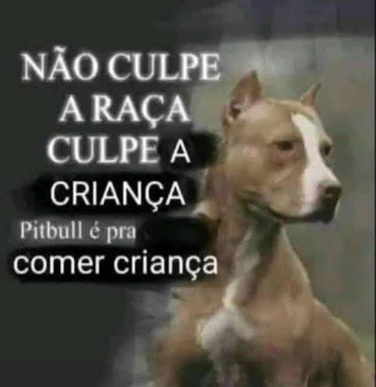 Bizucaa25's tweet photo. @Mirandoladasilv https://t.co/Xfn158nteN