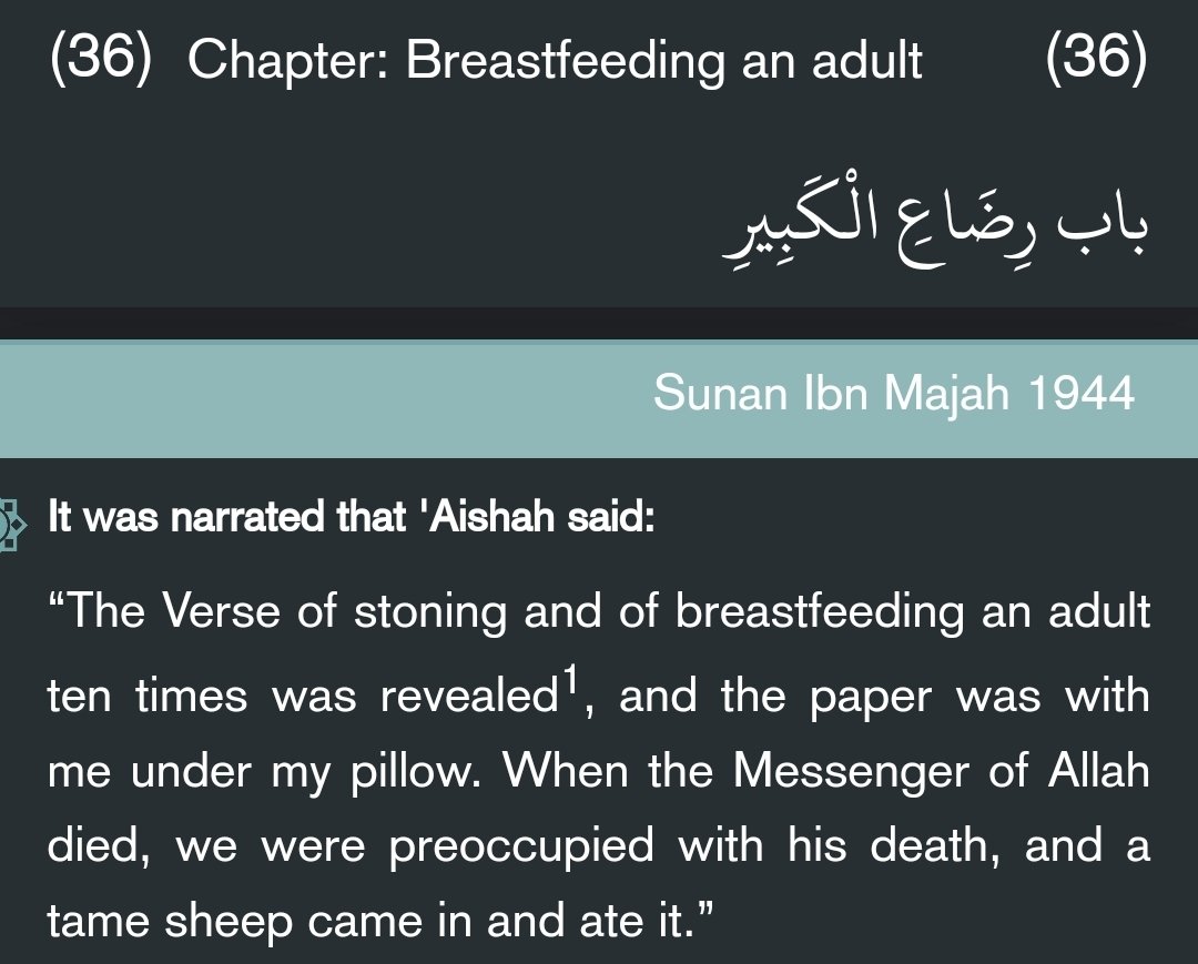 Ligamentio's tweet photo. @tkddejii @YourSecretPapa @FaisalSiyad1 @Saifullah9001 Your mother aisha believes the quran is incomplete because of a sheep that ate a verse about breastfeeding adults😂 https://t.co/LHRvU8uGp7