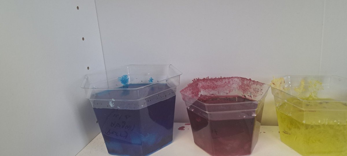 JessW08's tweet photo. 4 Wells had a busy week! We planted a crystal garden and then a real garden! We hope to make lots of yummy dishes with what we grow!
Thanks to @CleanFoundation for stopping by to assist us! 
@bltsenior @CraigMyra2 https://t.co/Bxi9CMytAH