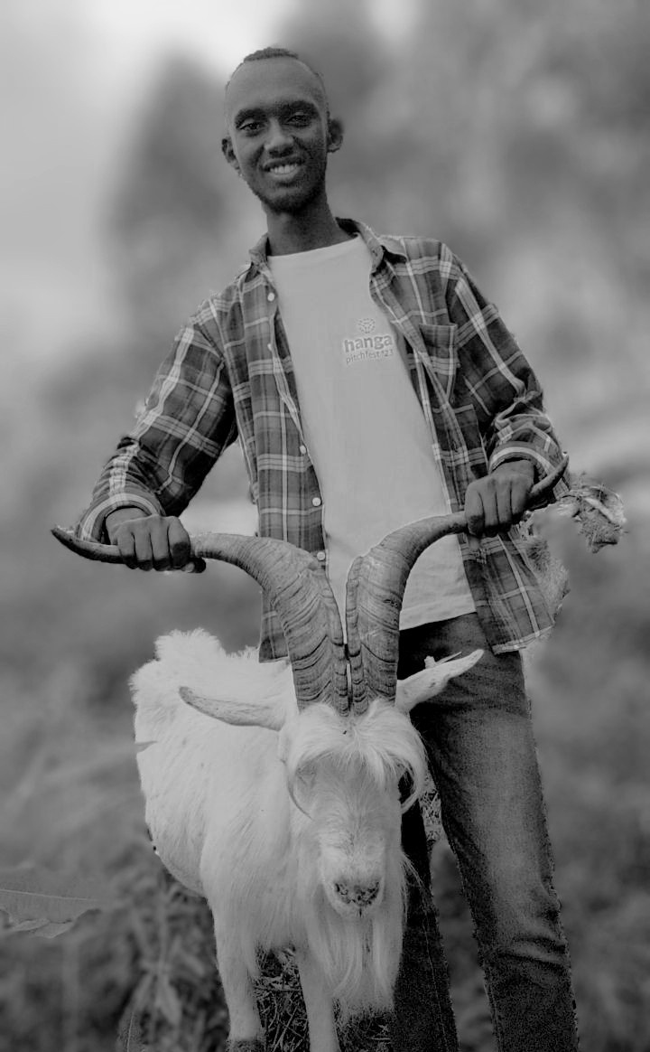 EugeneIradukund's tweet photo. Setting goals based on breed selection can help farmers visualize their future success and create actionable plans to achieve it
#foodforall
#FarmerwithEugene
#AgriInfluenceRw https://t.co/WIS5a3vLAf
