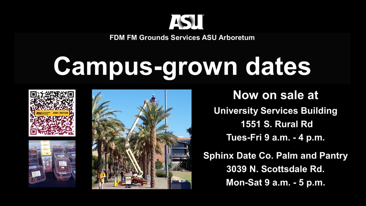 We still have ASU campus-grown dates for sale for the holidays!
Pick up a pound of Palm Walk Medjool dates at the University Services Building and hard to find soft varieties like Barhee and Khir dates at Sphinx Date Co. Palm &amp; Pantry.