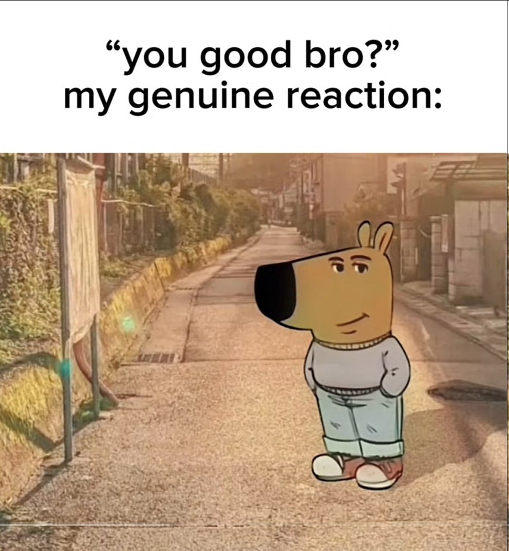 chillguycto's tweet photo. you good bro? https://t.co/ZOm0cZCWlB