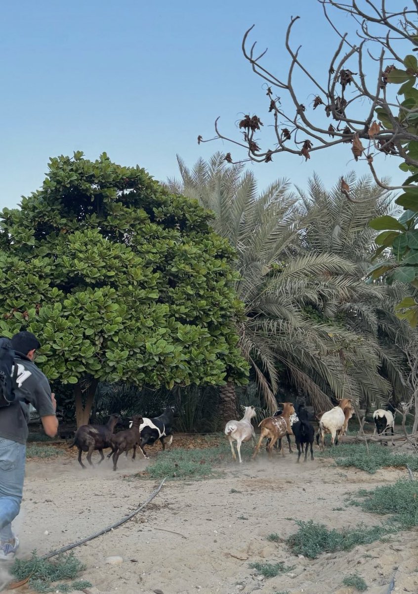عبدالله عمر tweet media