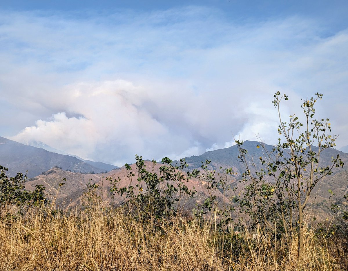 Pablo Quiñonez (@paquinonez) on Twitter photo No son nubes, es el humo de montañas enteras quemándose. <a href="/Riesgos_Ec/">Riesgos Ecuador</a> <a href="/FFAAECUADOR/">Fuerzas Armadas del Ecuador</a> <a href="/DanielNoboaOk/">Daniel Noboa Azin</a> Loja requiere urgente apoyo aéreo para la lucha contra los incendios forestales. No son nubes, es el humo de montañas enteras quemándose. <a href="/Riesgos_Ec/">Riesgos Ecuador</a> <a href="/FFAAECUADOR/">Fuerzas Armadas del Ecuador</a> <a href="/DanielNoboaOk/">Daniel Noboa Azin</a> Loja requiere urgente apoyo aéreo para la lucha contra los incendios forestales.