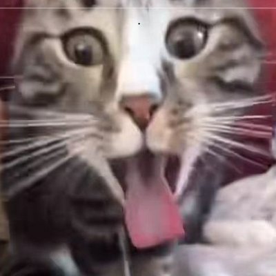 PukeCoinSol69's tweet photo. @RealAlexJones My face when I see $BTC pumping and #altcoins dumping..  Buy some $PUKE https://t.co/OlZNFA9pAL