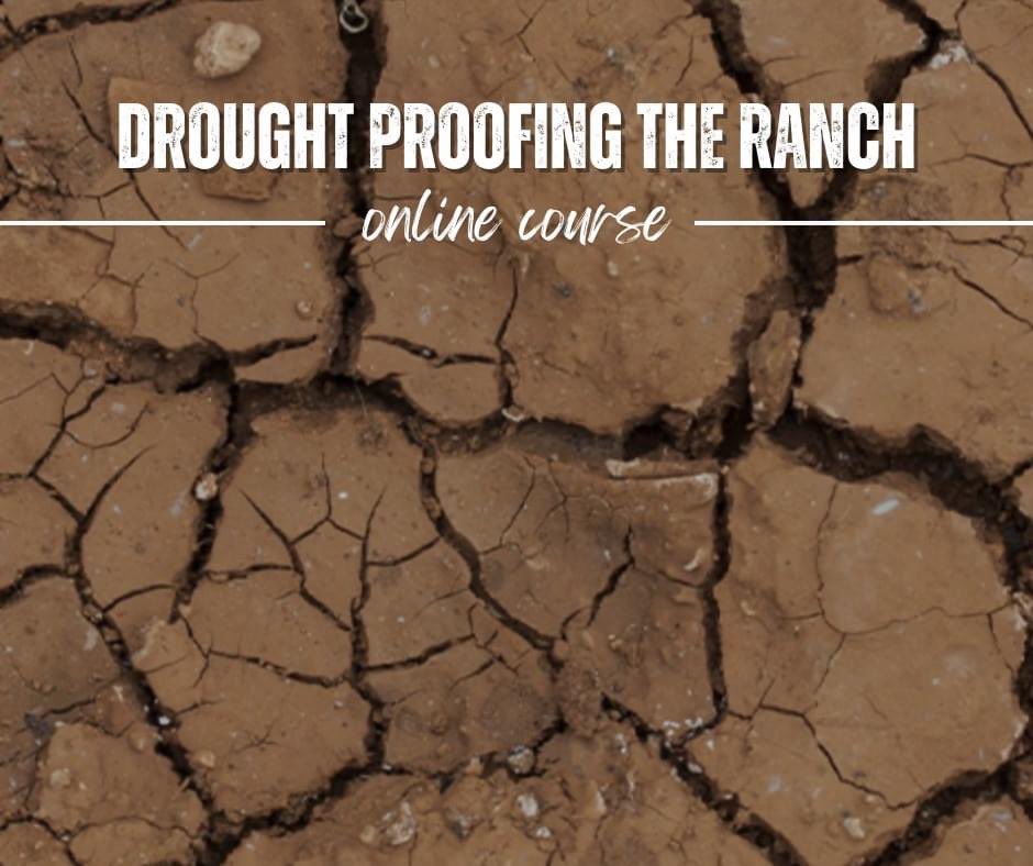 Our Drought Proofing the Ranch online course is designed to enhance your understanding of effective risk management strategies, helping you identify the best tools to protect your operation in times of drought. agrilifelearn.tamu.edu/s/product/drou…

#drought #texas #agriculture #economics