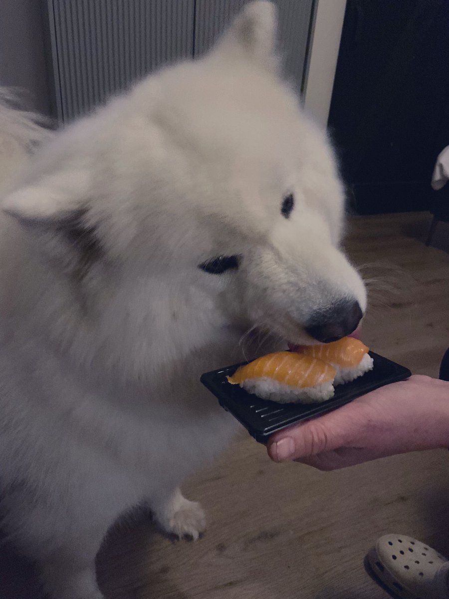 Bibi Louïs tweet media