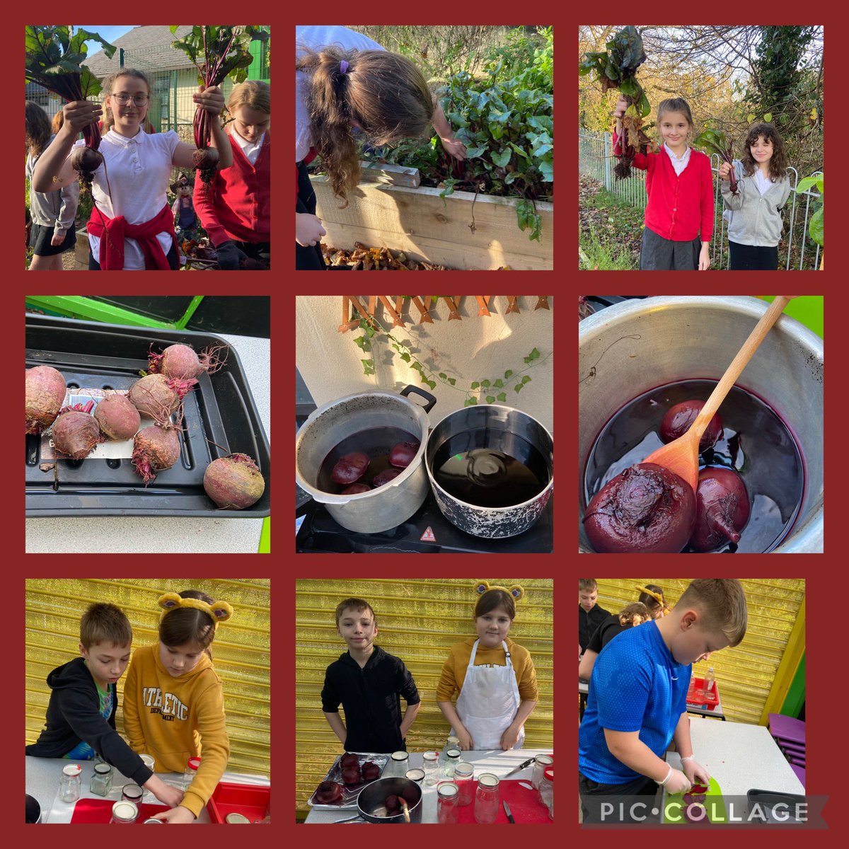 mrsccox95's tweet photo. Dosbarth 12 have discovered how much nicer our food tastes when you #growyourown we have pickled our beetroot and enjoyed beetroot brownies then even used the natural dye for art @garntegprimary @MrsHLeeY56 #ambitiouscapablelearners #foodforgrowth https://t.co/tFIYwx2a5C