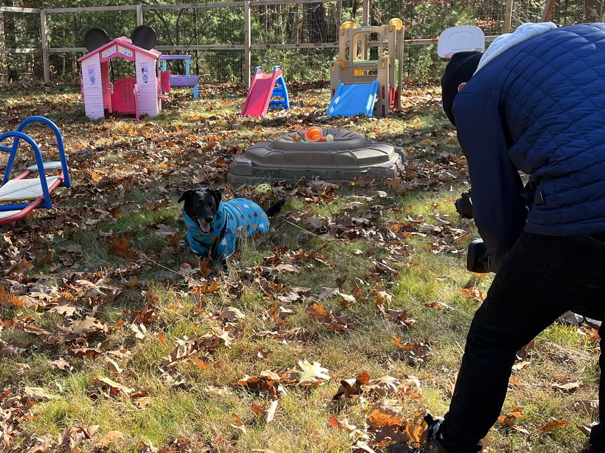 Jean Mackin tweet media