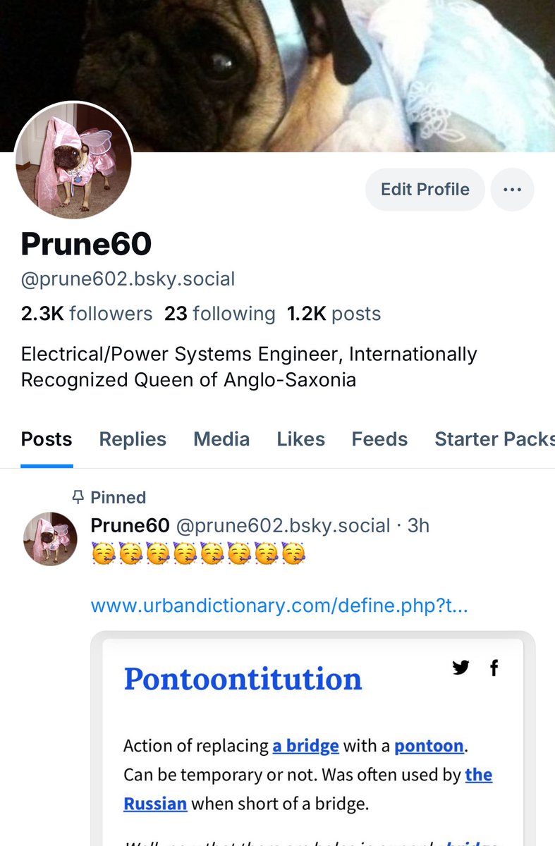 Prune60 tweet media