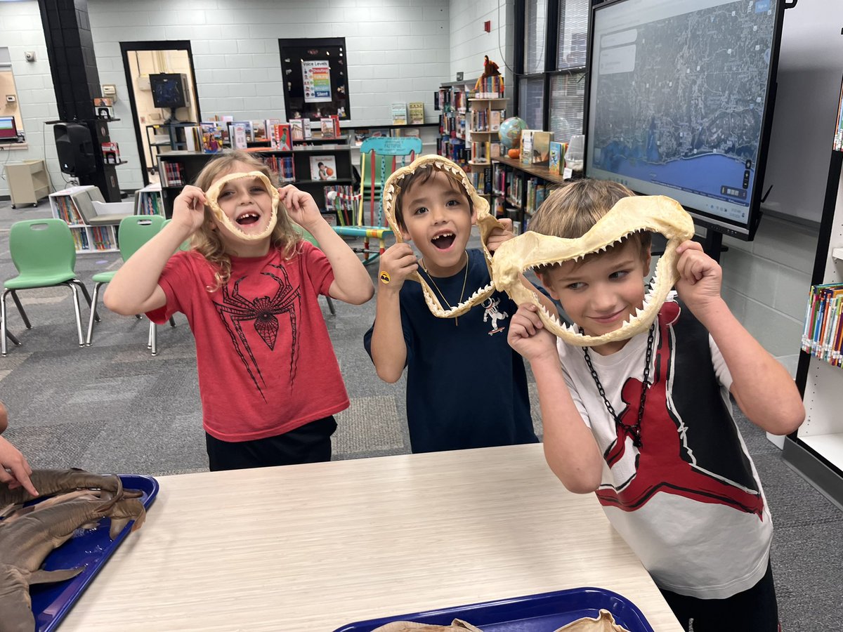 library_OESSCC's tweet photo. 🐬🦀 We loved our visit with Kyle from BayMobile @disealab last week!  Students experienced specimens from Dauphin Island and the Gulf of Mexico! 🦀🐬#iamasaint! #itsgreattobeasaint! @sccboe https://t.co/PYWOif5FVg