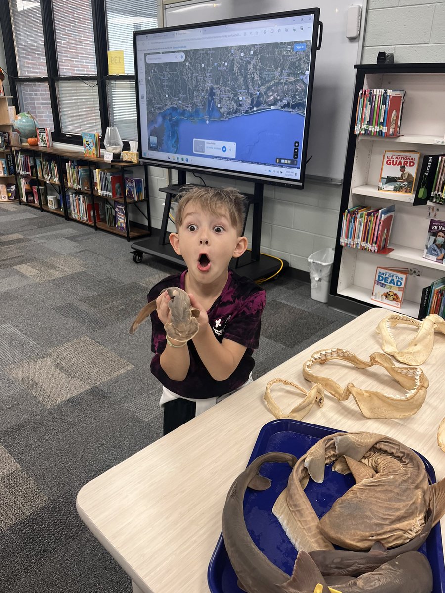 library_OESSCC's tweet photo. 🐬🦀 We loved our visit with Kyle from BayMobile @disealab last week!  Students experienced specimens from Dauphin Island and the Gulf of Mexico! 🦀🐬#iamasaint! #itsgreattobeasaint! @sccboe https://t.co/PYWOif5FVg