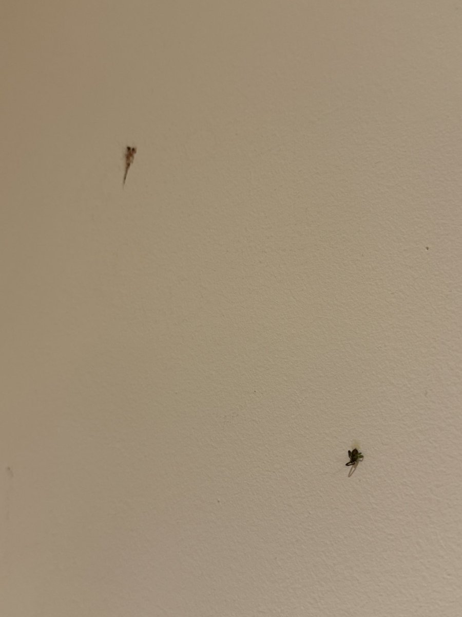 Ewaut Bergmans tweet media