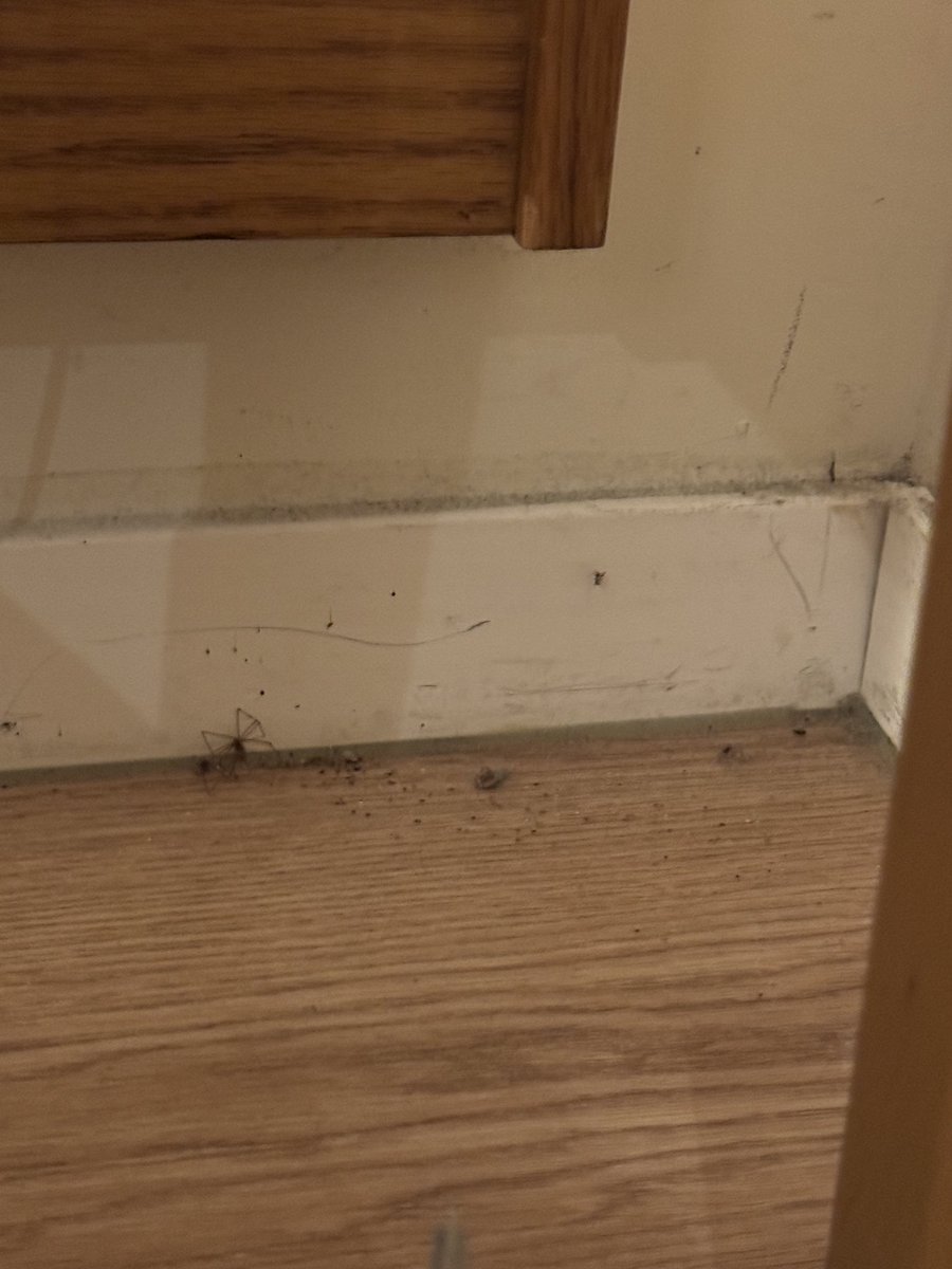 Ewaut Bergmans tweet media