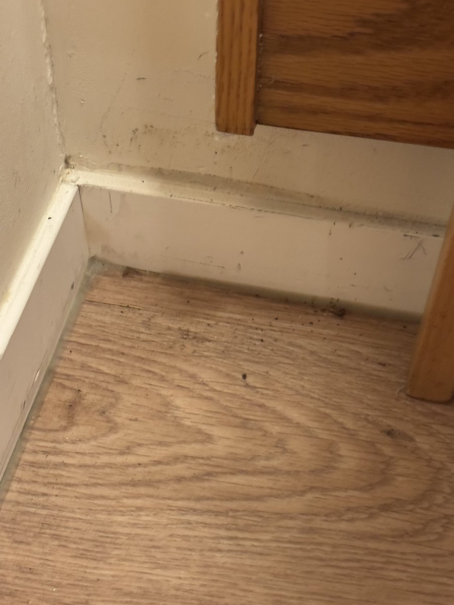 Ewaut Bergmans tweet media