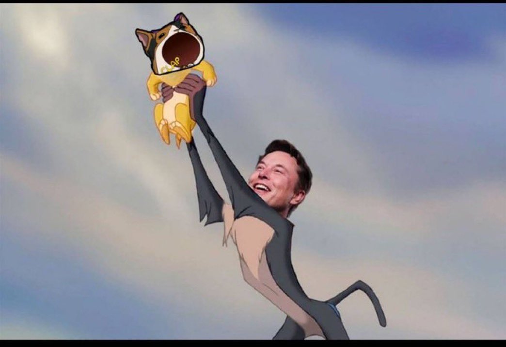 <a href="/itsFoxCrypto/">Fox Crypto</a> $CLAP CAT
 The team behind $CLAP is fantastic, the narrative is compelling, and the community is incredibly enthusiastic. 🔥 <a href="/clapcat/">Clap Cat</a>

POPCAT SISTER IRL

CA: 9b8jL2wcVjBFpieC5TUR76BDJ6sW8Eghd3fyq5VJmzir