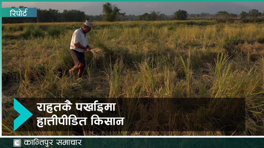 जंगली हात्तीले बालीमा पुर्‍याएको क्षतिपूर्ति झापाका किसानले अझै पाएनन् 

विस्तृत : kantipurtv.com/news/2024/11/1… 

#KantipurNews #KantipurTVHD #Kantipur