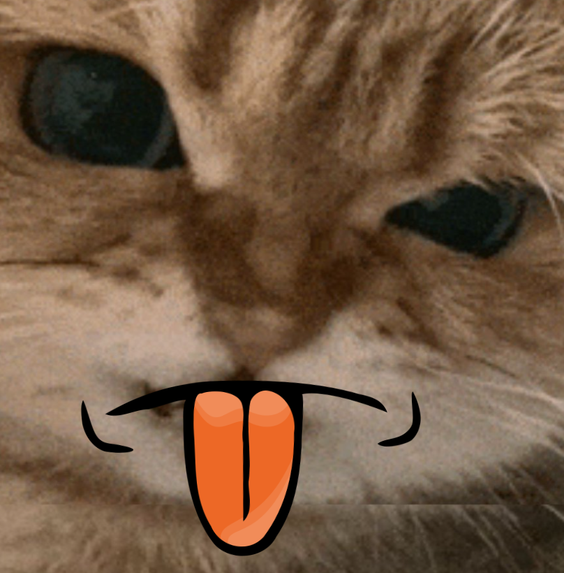 KryptoIluminat's tweet photo. @rawrcatsolana to all the jeets https://t.co/BZI11wU5LN