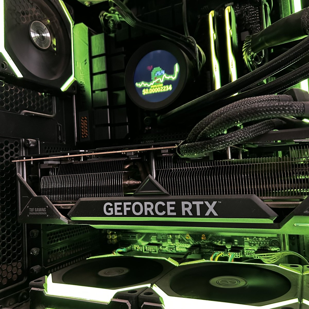 bitcorn_pg's tweet image. My PC is ready… pump it $PEPE 🐸