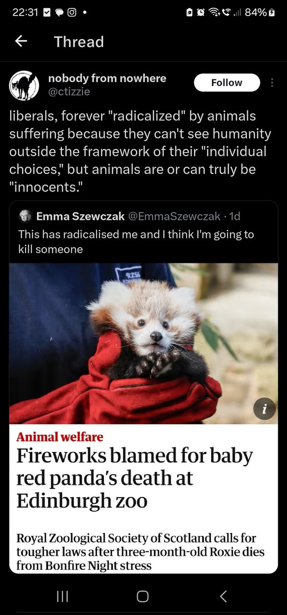 My last drama on twitter - and thank god it's a good one - is being accused of being anti-Palestine because I expressed sadness that a panda died