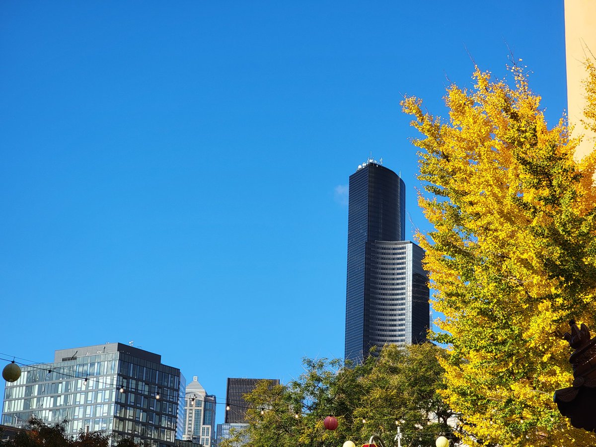 caseyworks's tweet photo. a glorious Friday in downtown Seattle https://t.co/QfOvvWnTbd