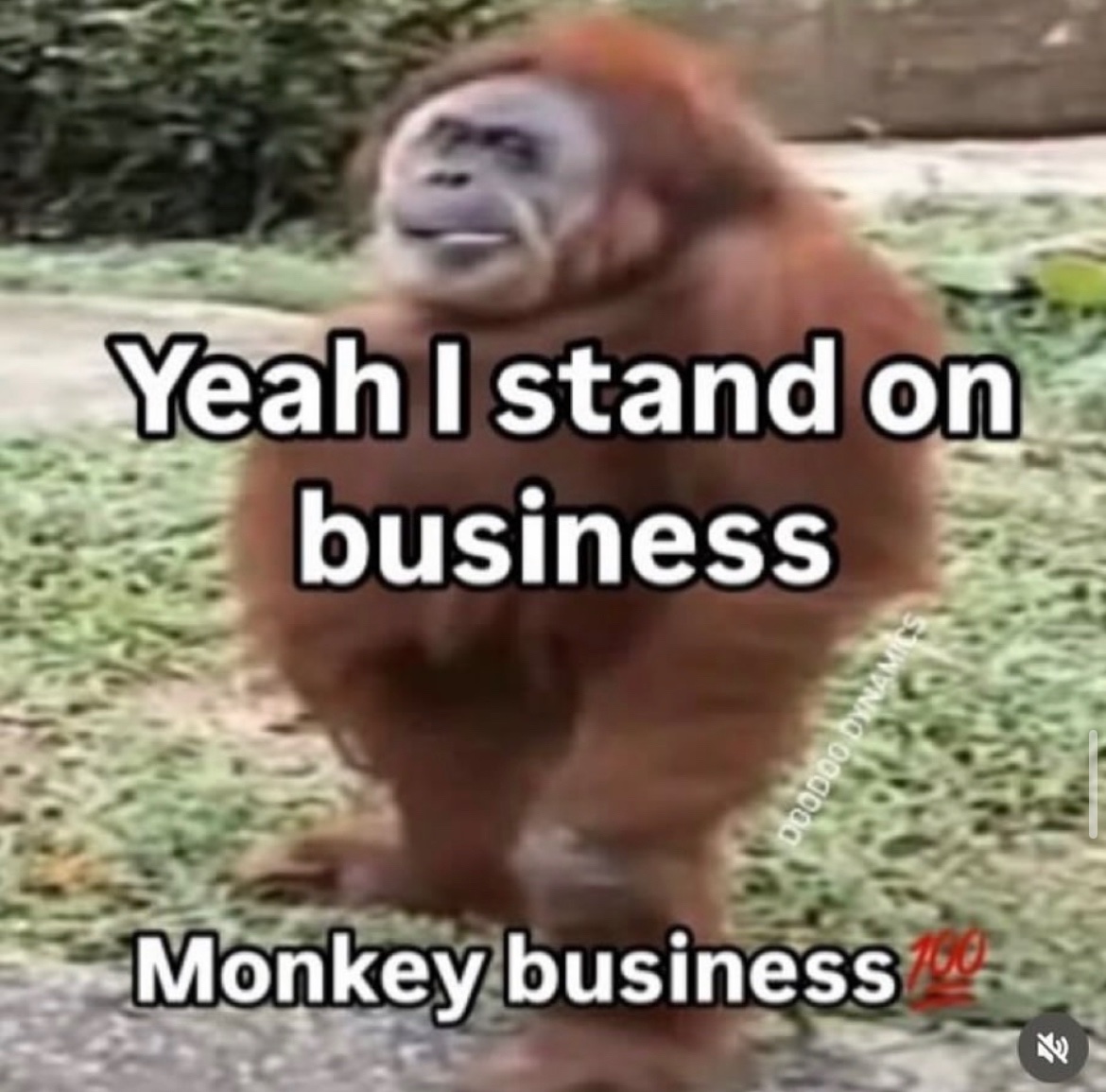 RespectfulMemes's tweet photo. https://t.co/qMZjtD7wX0