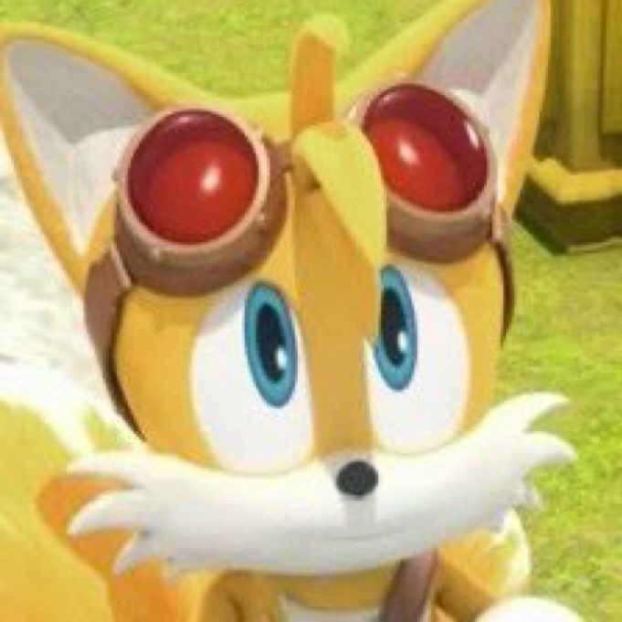 CEO Of Boom Tails and Sonic Boom tweet media