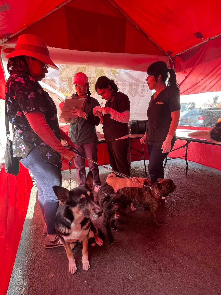 Los rostros del día : 
🐾🐶🩷