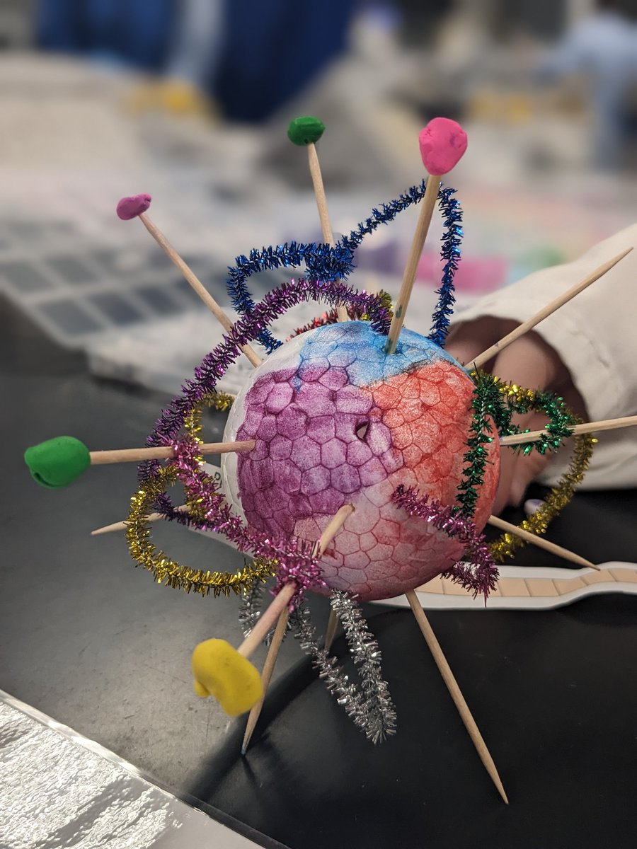 MUHost_Path's tweet image. A big thank you to my fantastic lab members and undergrads who supported our #Scienceweek24 @MaynoothBiology activities around viruses and gene expression. Lots of colourful creations, happy faces, and science bracelets as a result. Well done everyone!