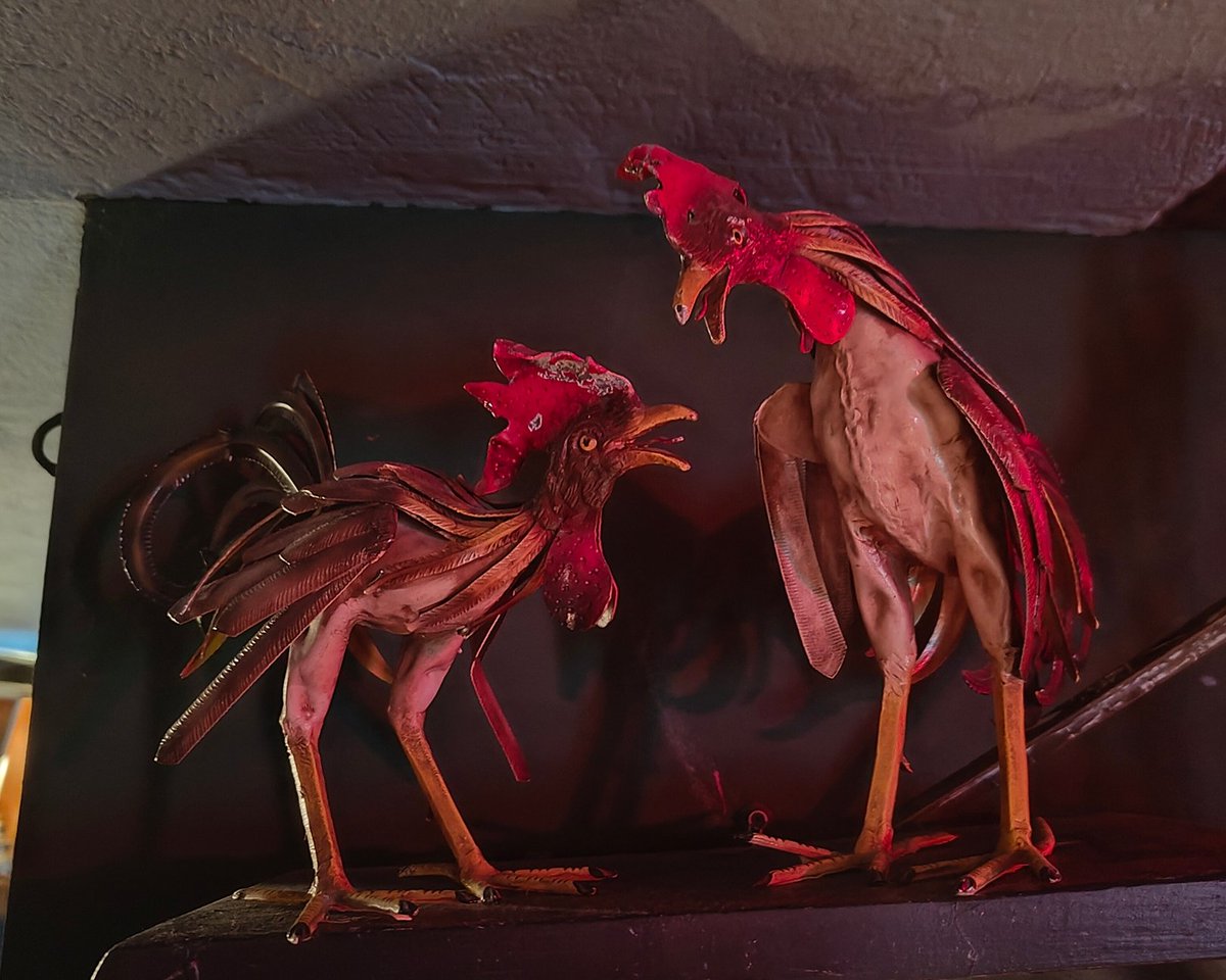 mishosso's tweet photo. Cock-a-doodle-doo! 🐓 https://t.co/X5oACNFU0d