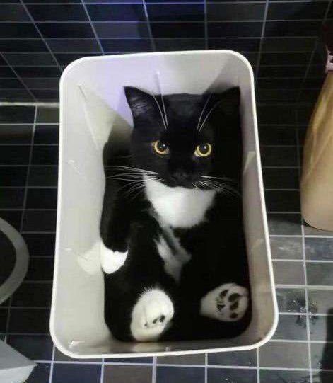 Coldi ❄️ tweet media