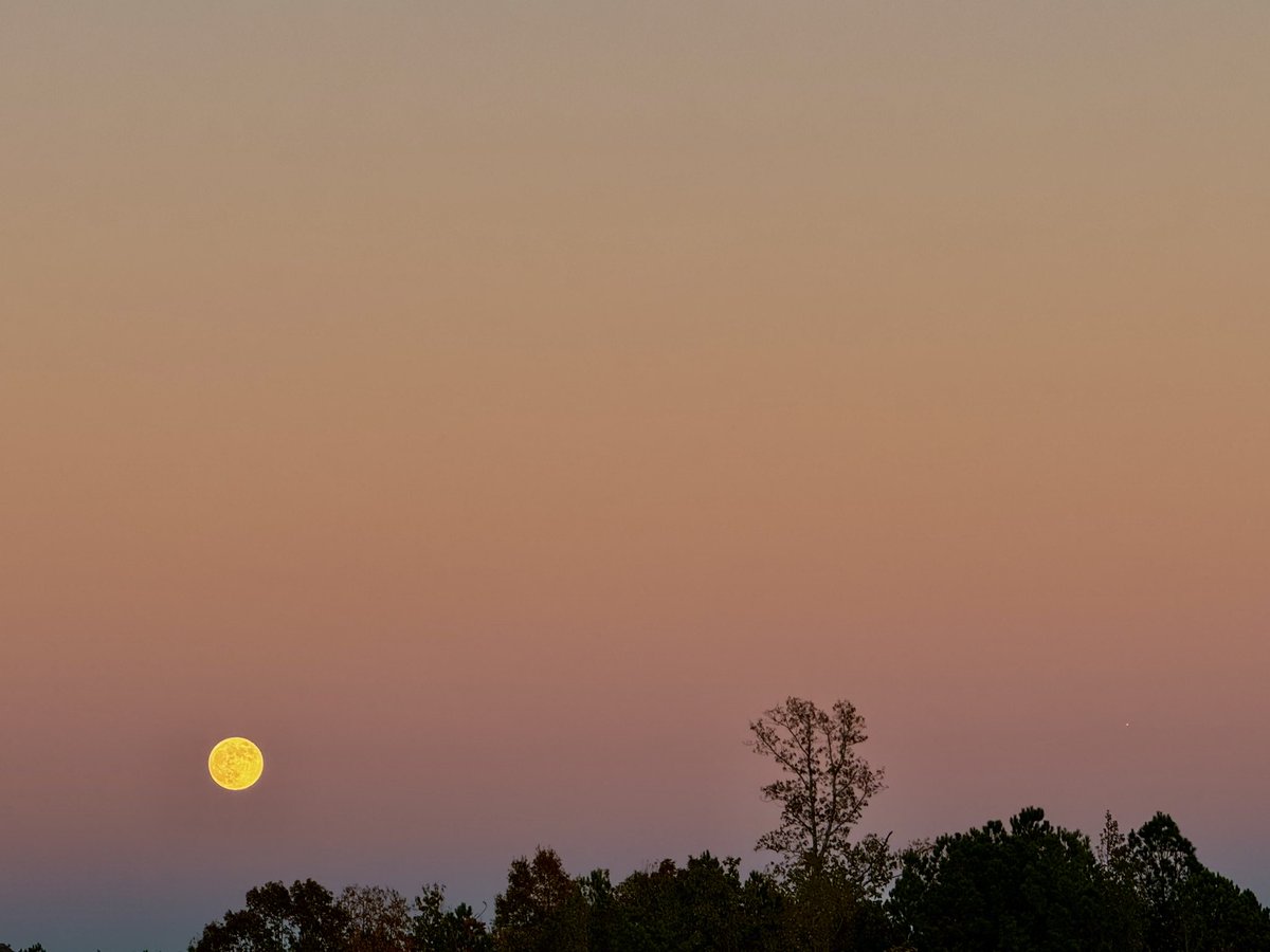YOUNGTY's tweet image. Super Beaver Moon rising over Trussville this evening @weswyattweather @LaurenLinahan @mattdanielwx @toniatalkss @WBRCnews @WBRCweather @megtomwx