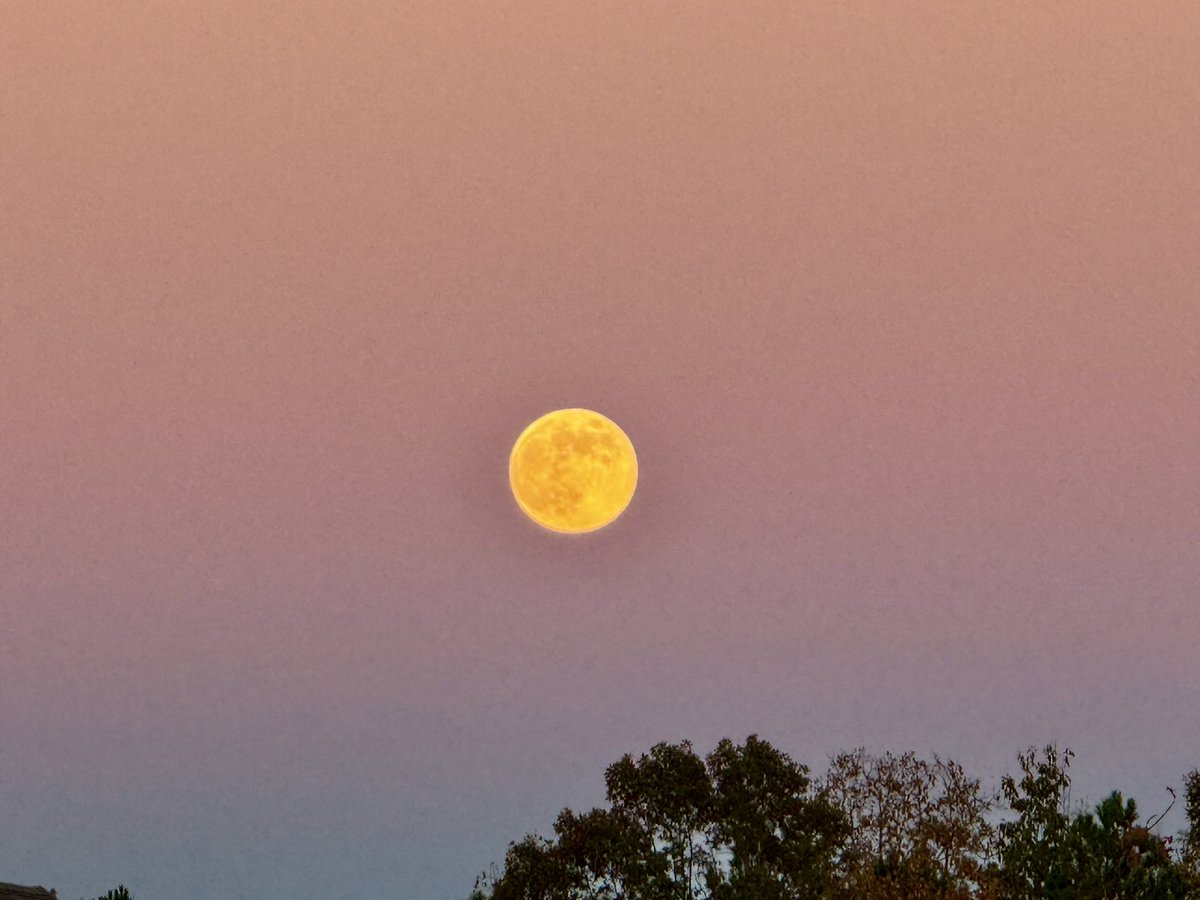 YOUNGTY's tweet image. Super Beaver Moon rising over Trussville this evening @weswyattweather @LaurenLinahan @mattdanielwx @toniatalkss @WBRCnews @WBRCweather @megtomwx