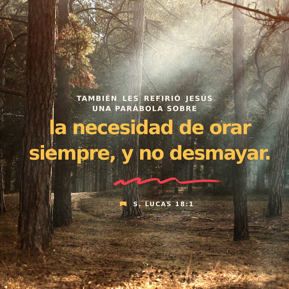padreantoniolc's tweet photo. https://t.co/88lpiXQVFk