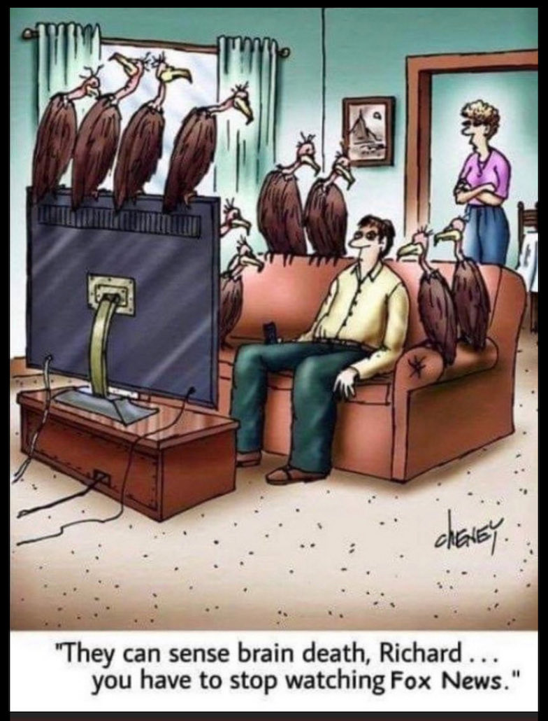 Just saying tweet media