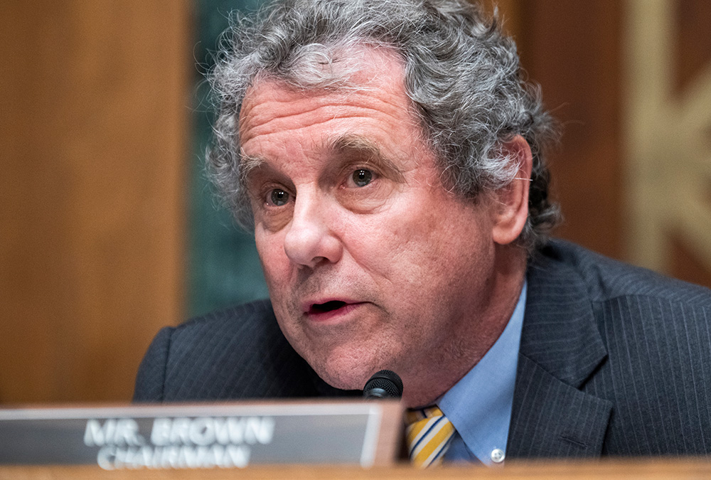 Lovable Liberal and his Old English sheepdog (@dougwahl1) on Twitter photo Should he run in the special election?
Sen. Sherrod Brown, who lost reelection, told reporters that he is considering running in Ohio’s special election to fill the remainder of J.D. Vance’s term .
Your thoughts? Should he run in the special election?
Sen. Sherrod Brown, who lost reelection, told reporters that he is considering running in Ohio’s special election to fill the remainder of J.D. Vance’s term .
Your thoughts?