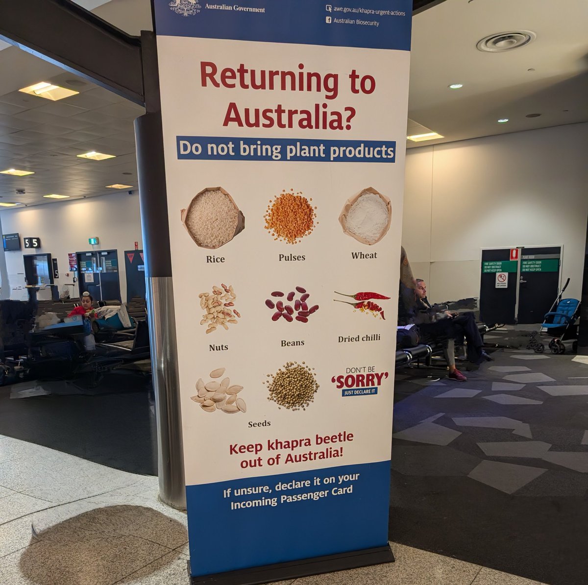 Great to see Khapra Beetle #biosecurity messaging at Melbourne airport.