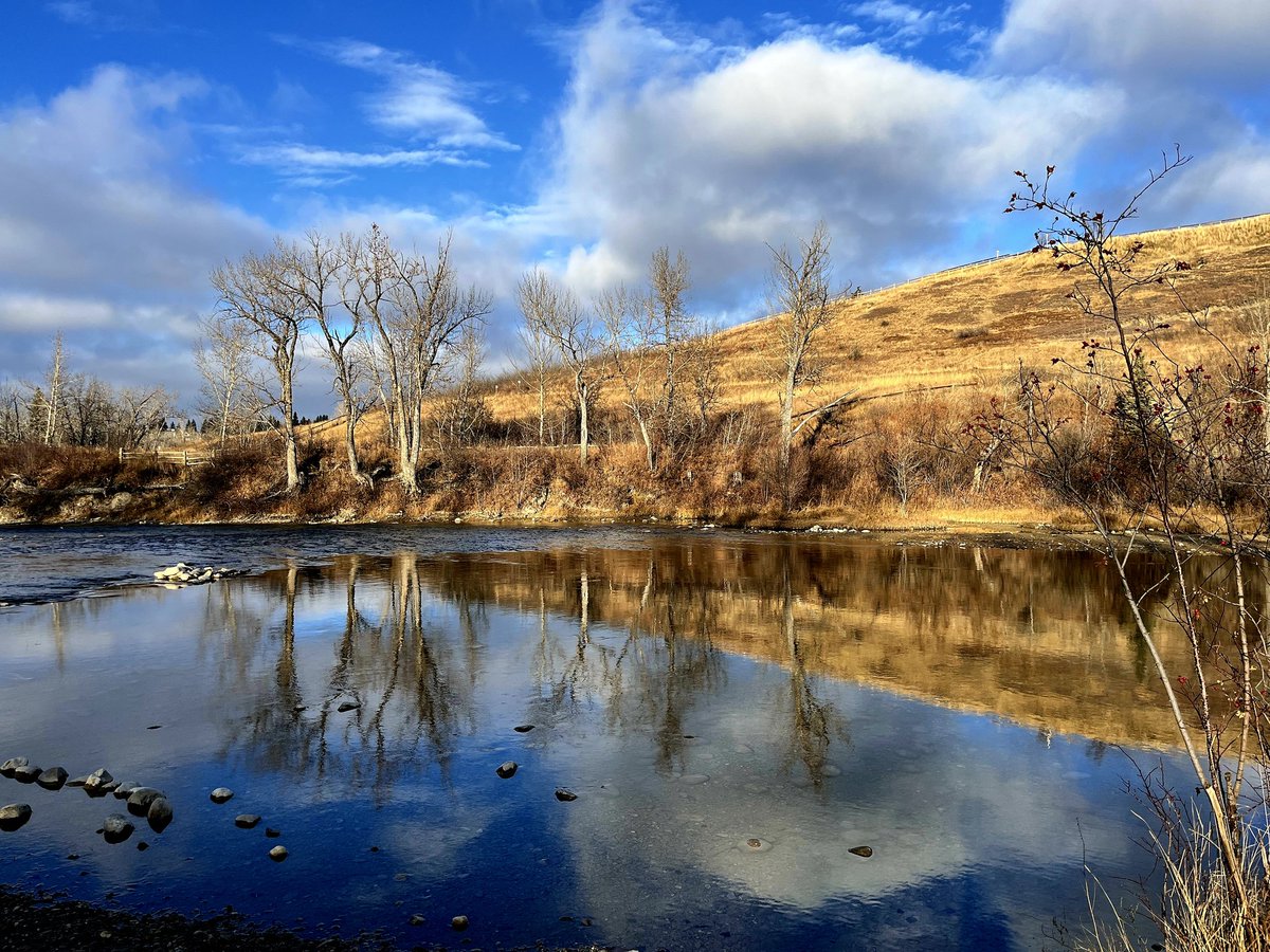 Lisa (Homer) Baril tweet media