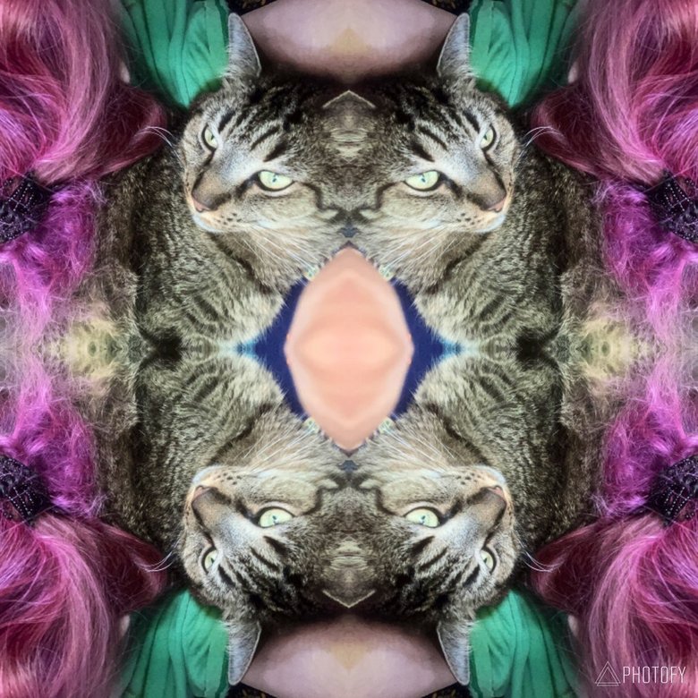 Look for 11Cats, somewhere over the rainbow, the sky is blue, the people are kind and I hope to be gone from here soon.