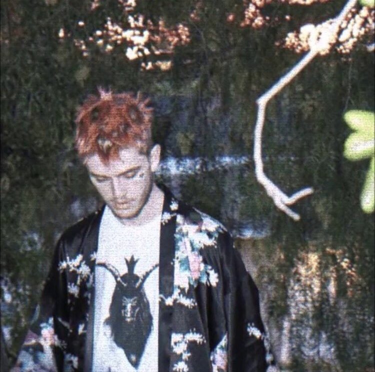 RubysNephew's tweet photo. 7 years ago today we lost Lil Peep

dude was destined to be great, can’t imagine where he’d be today. energy never dies 🕊️ https://t.co/Z2SLWRLcq6