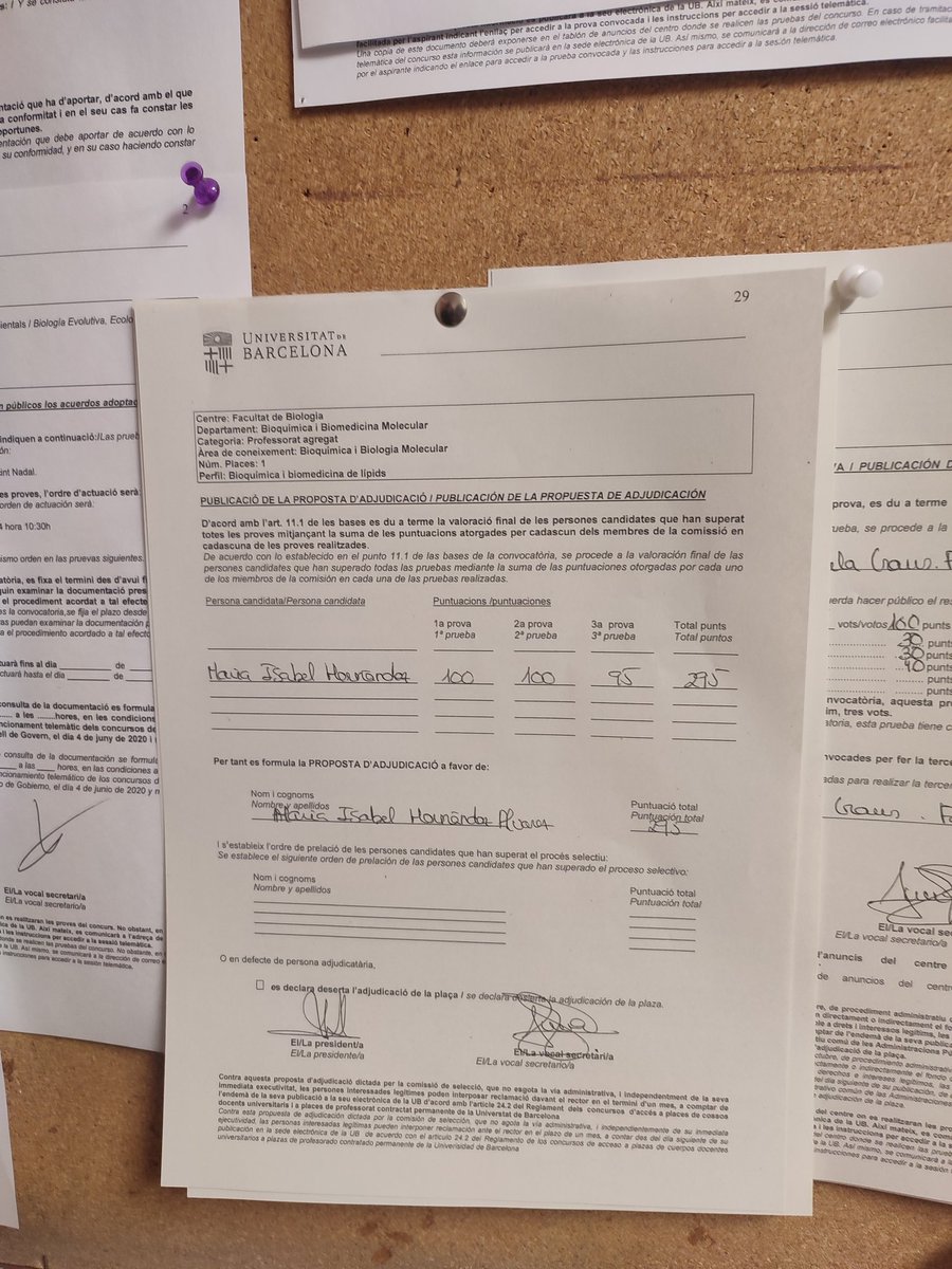 Maribel Hernandez Alvarez tweet media